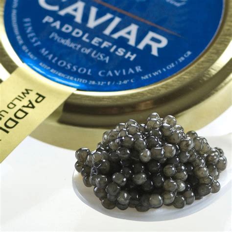 Paddlefish Caviar Price